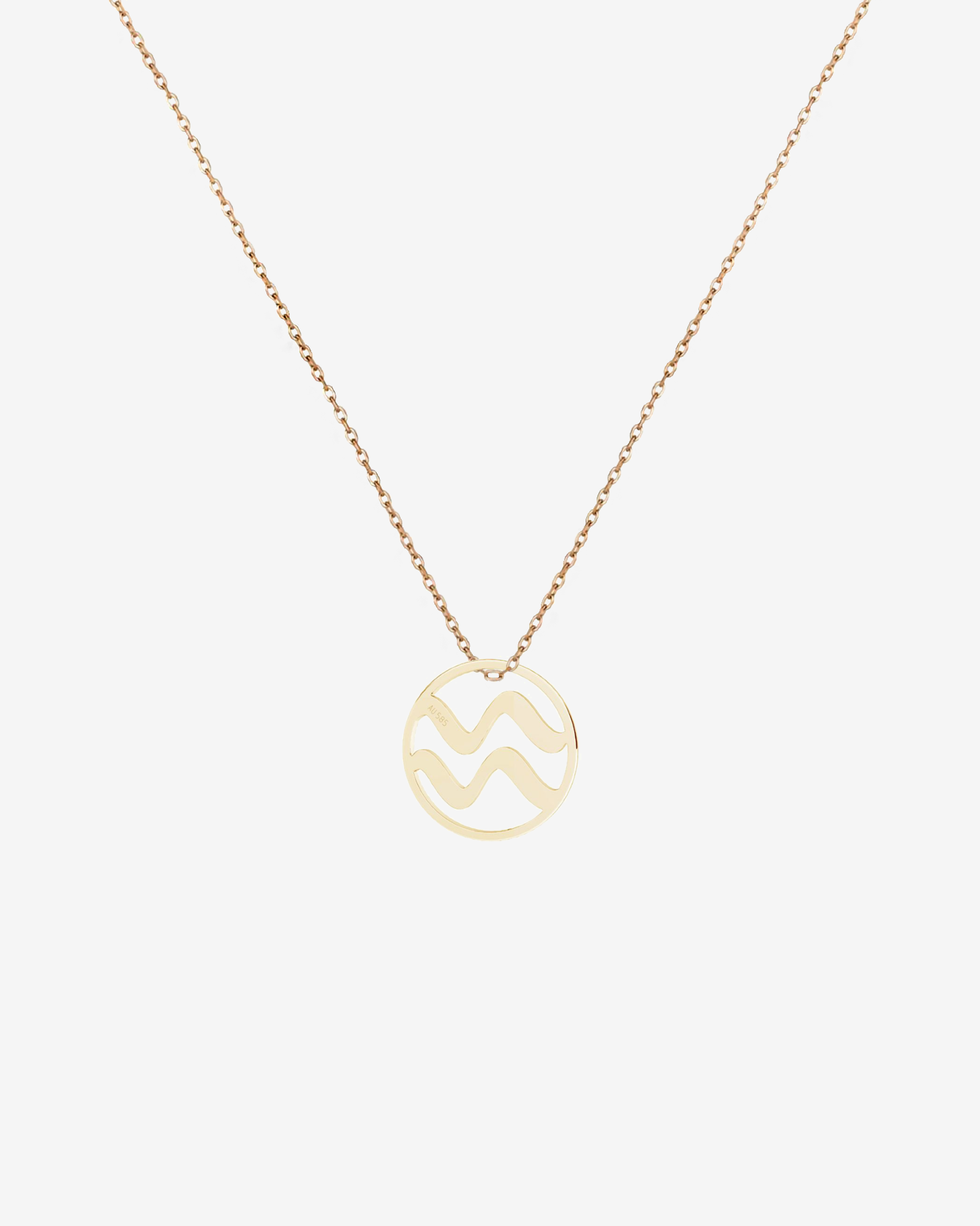 Zodiac Necklace - Main Image