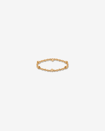 Paris – chain ring